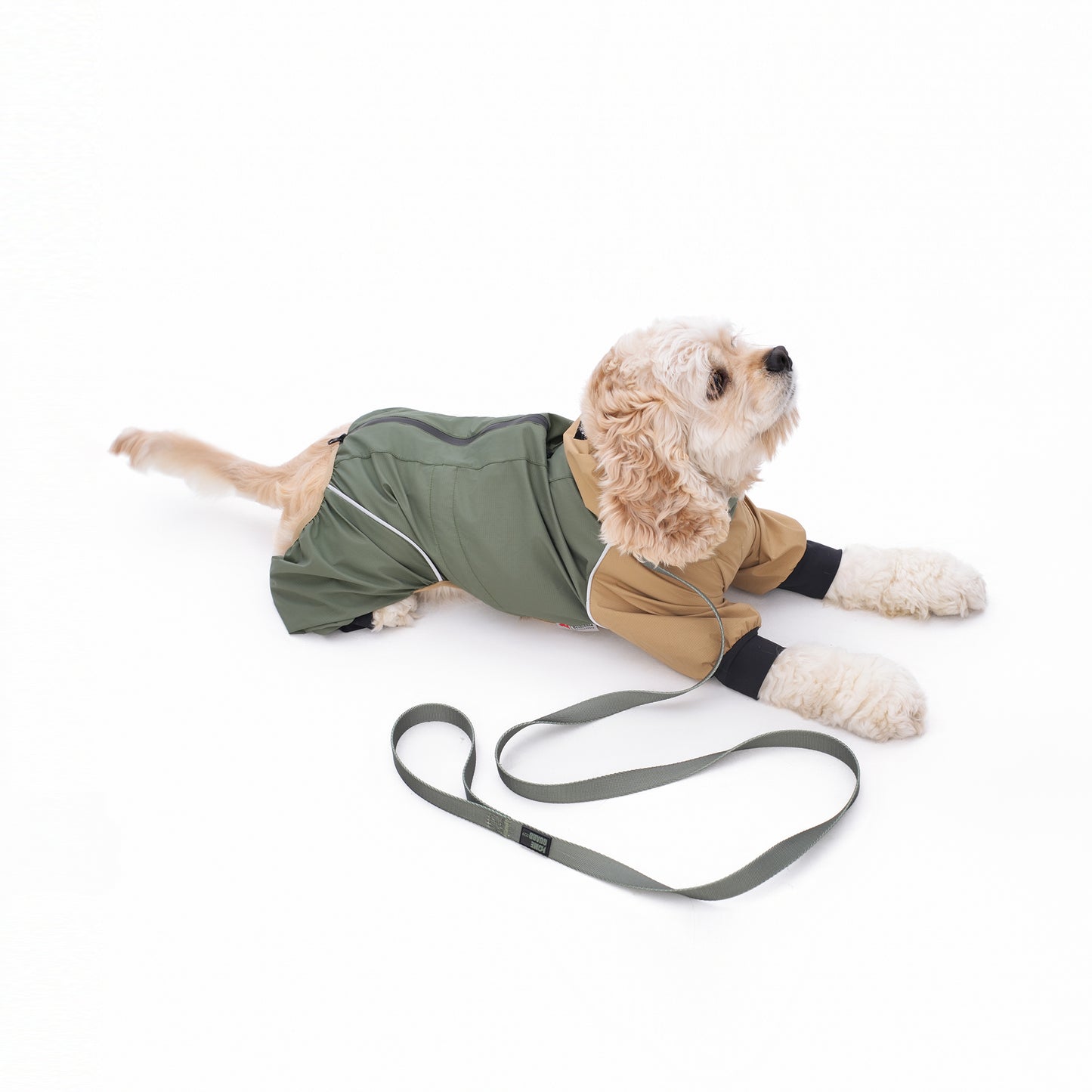 ペット用リード Pet Leash KGPCCR01F0122
