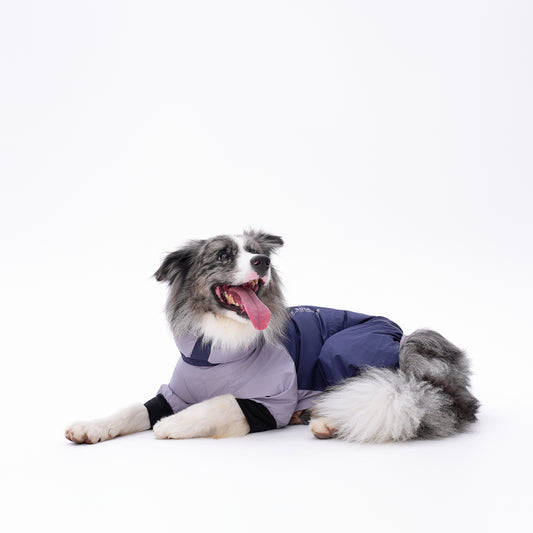 Dog Outdoor Jacket 犬用アウトドアジャケット KGPACM01F0237