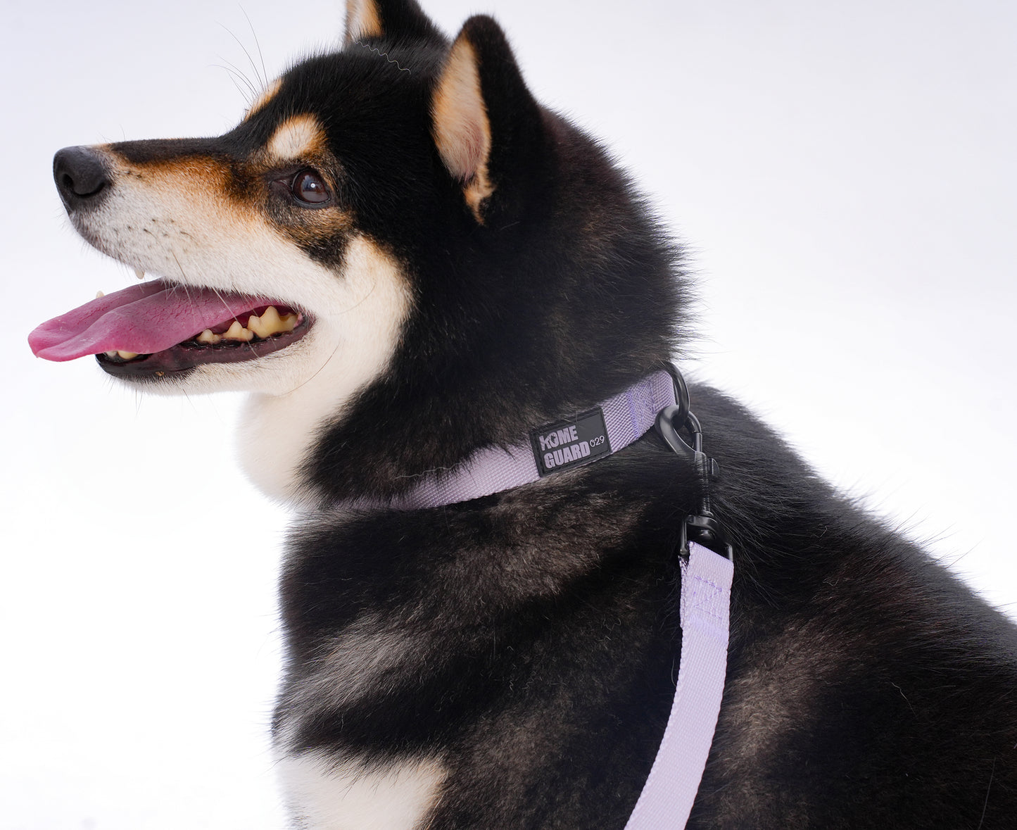 ペット用リード Pet Leash GPCLS01F0122