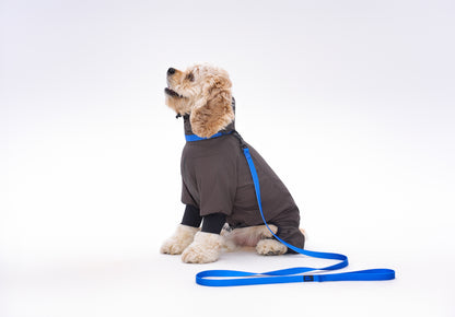 ペット用リード Pet Leash KGPCLS01F0135
