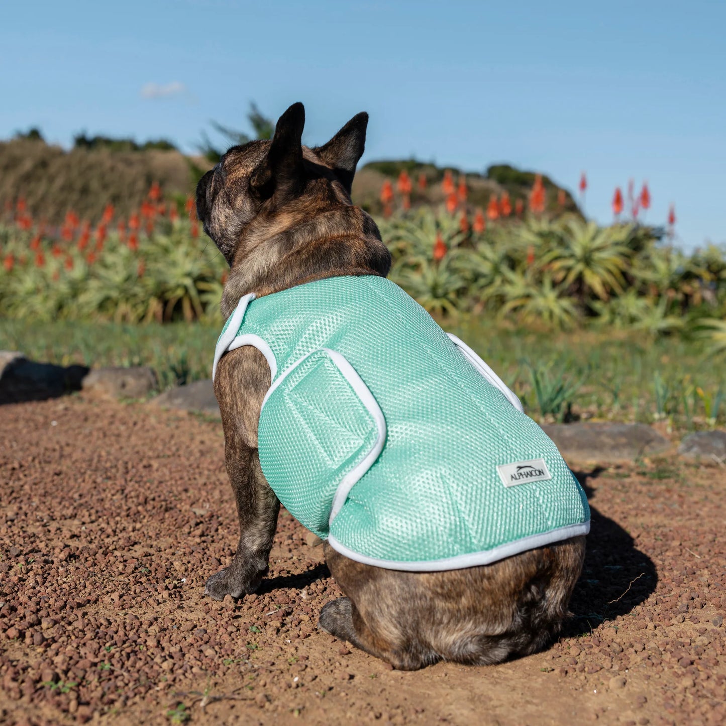 SUPER COOLING VEST　スーパークーリングベスト　REEF