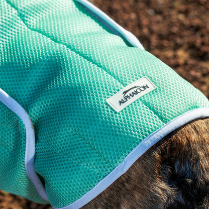 SUPER COOLING VEST　スーパークーリングベスト　REEF