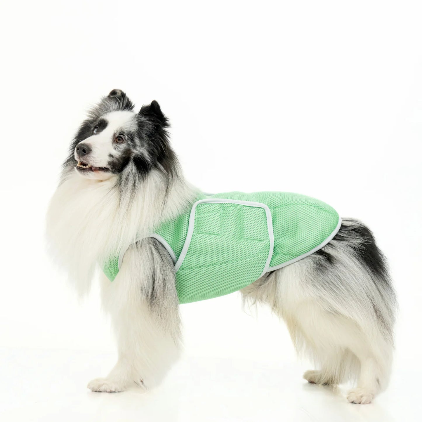 SUPER COOLING VEST　スーパークーリングベスト　REEF
