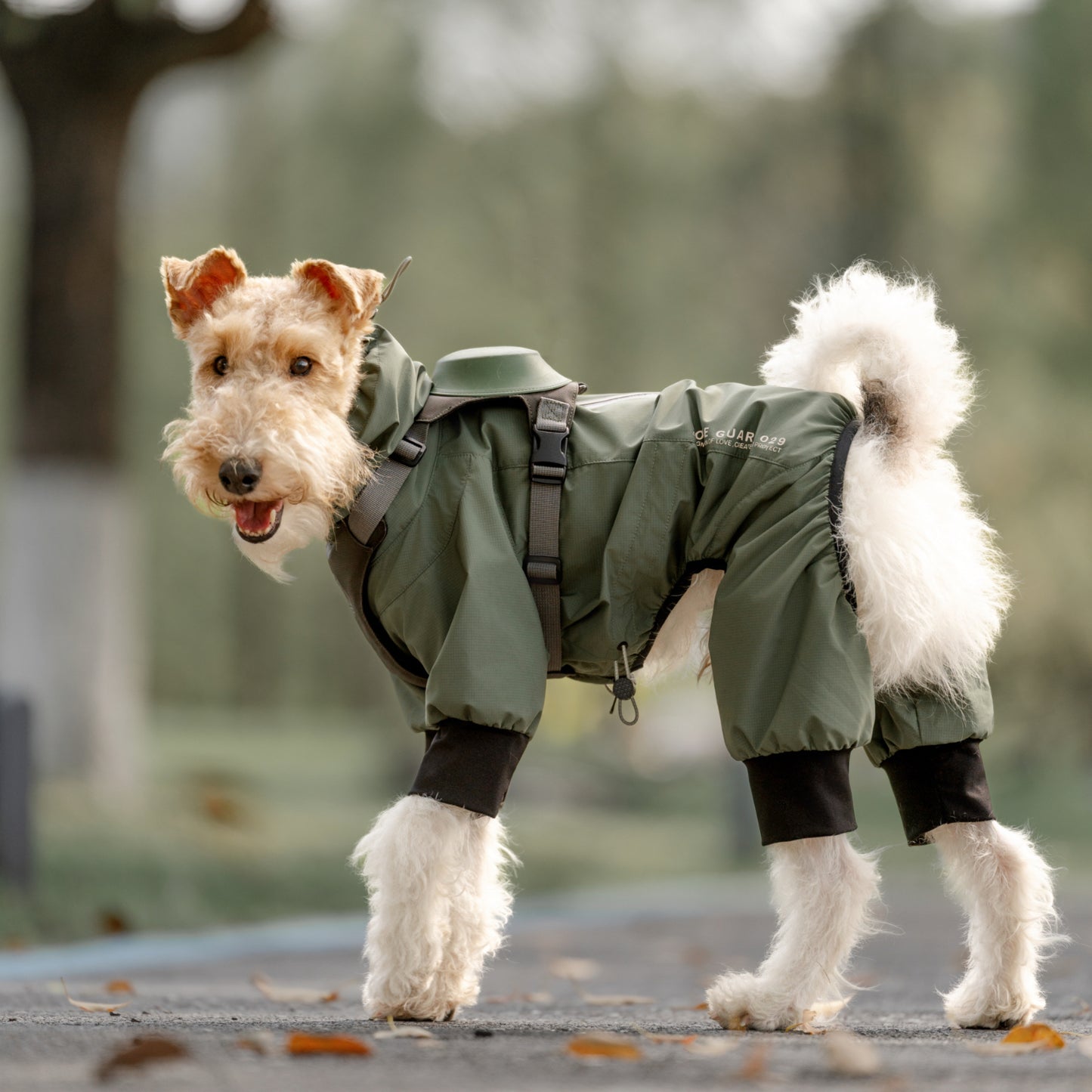 Dog Outdoor Jacket 犬用アウトドアジャケット KGPACM01F0537