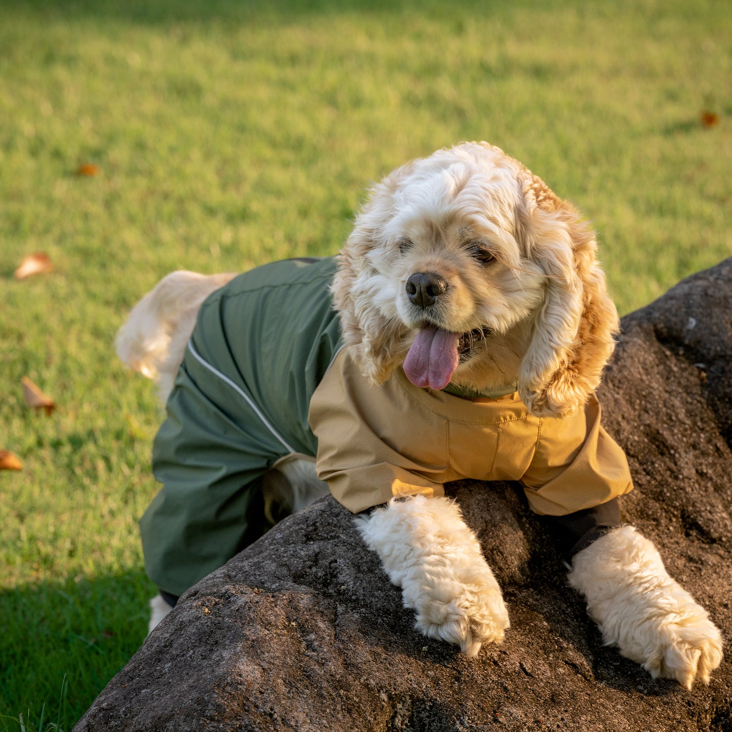 Dog Outdoor Jacket 犬用アウトドアジャケット KGPACM01F0147