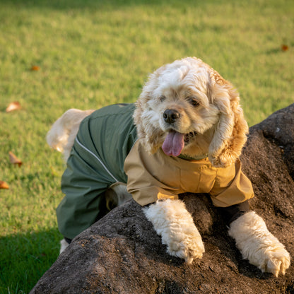 Dog Outdoor Jacket 犬用アウトドアジャケット KGPACM01F0147