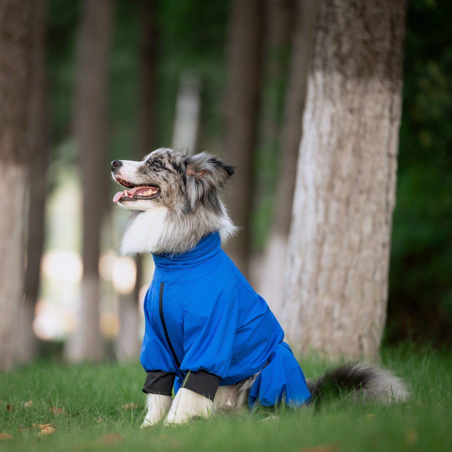 Dog Outdoor Jacket 犬用アウトドアジャケット KGPACM01F0435