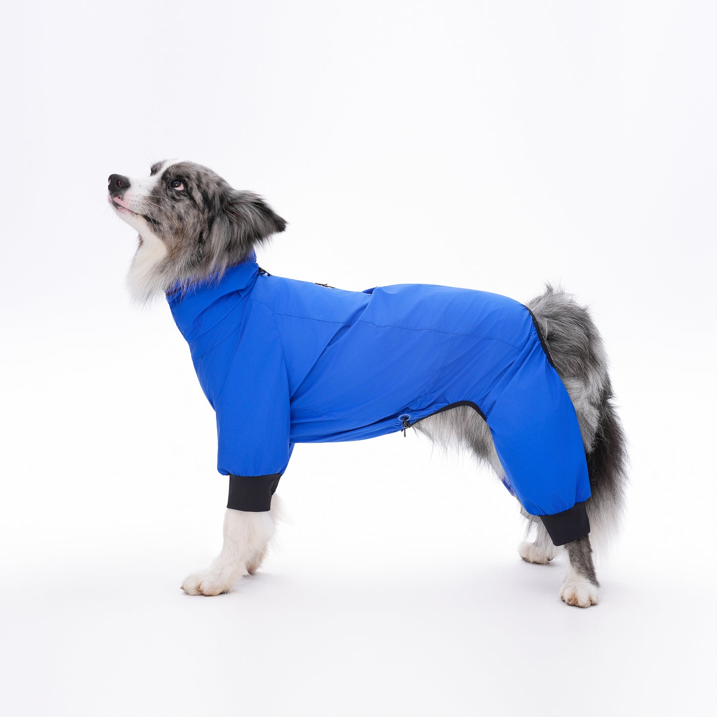 Dog Outdoor Jacket 犬用アウトドアジャケット KGPACM01F0435