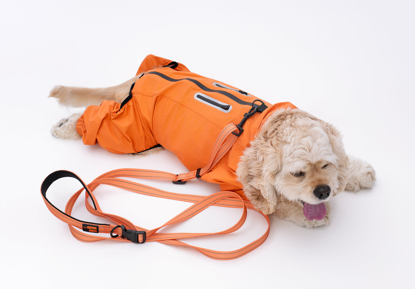 ペット用リード Pet Leash GPCLS01F0264