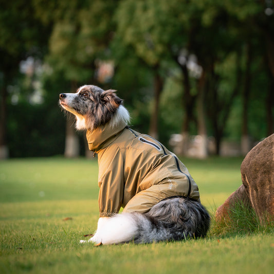 Dog Outdoor Jacket 犬用アウトドアジャケット KGPACM01F0784