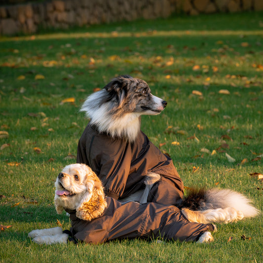 Dog Outdoor Jacket 犬用アウトドアジャケット KGPACM01F0887