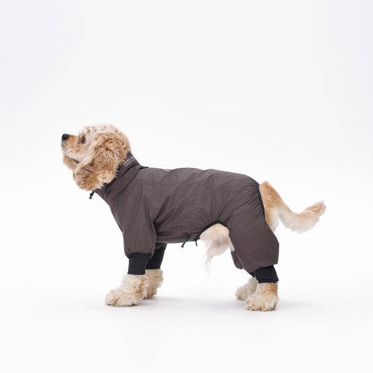 Dog Outdoor Jacket 犬用アウトドアジャケット KGPACM01F0887