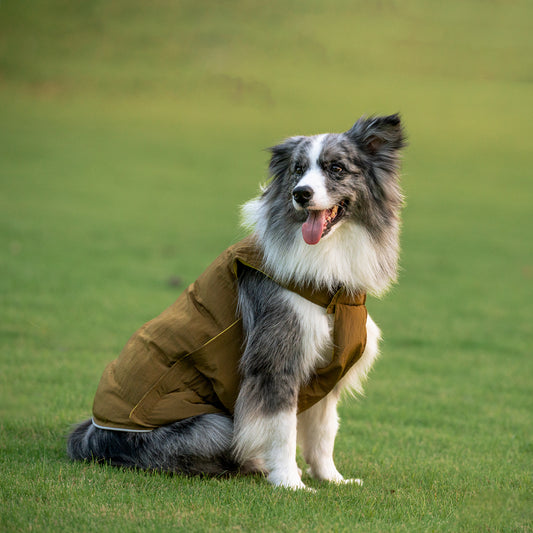 犬用アウトドアリバーシブルカジュアルウェア Dog Reversible Outdoor Casual Wear KGPARC01F0355