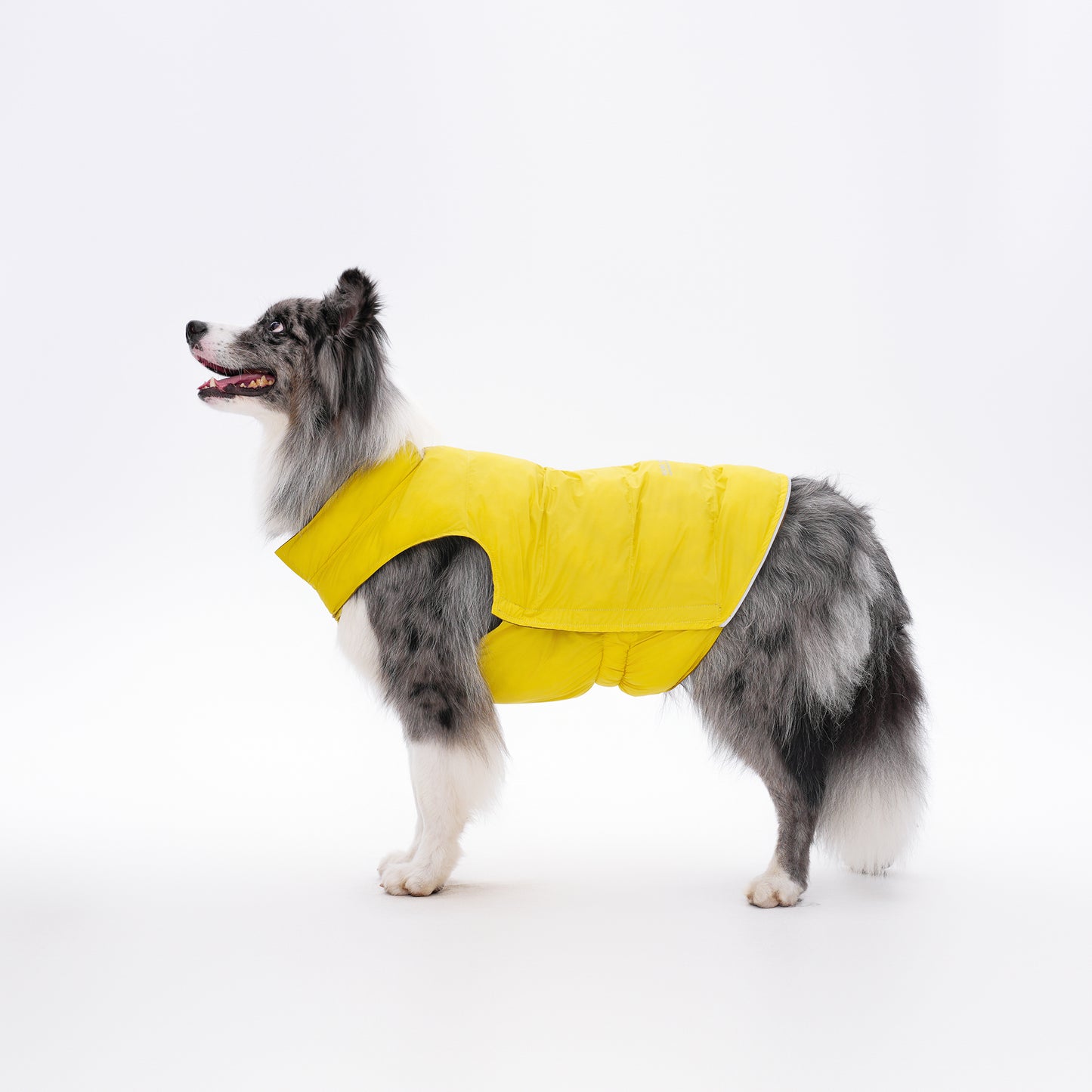 犬用アウトドアリバーシブルカジュアルウェア Dog Reversible Outdoor Casual Wear KGPARC01F0355