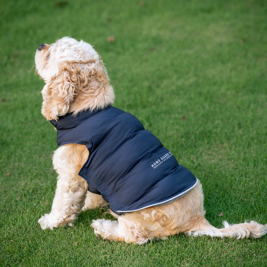 犬用アウトドアリバーシブルカジュアルウェア Dog Reversible Outdoor Casual Wear KGPARC01F0493