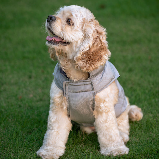 犬用アウトドアリバーシブルカジュアルウェア Dog Reversible Outdoor Casual Wear KGPARC01F0493