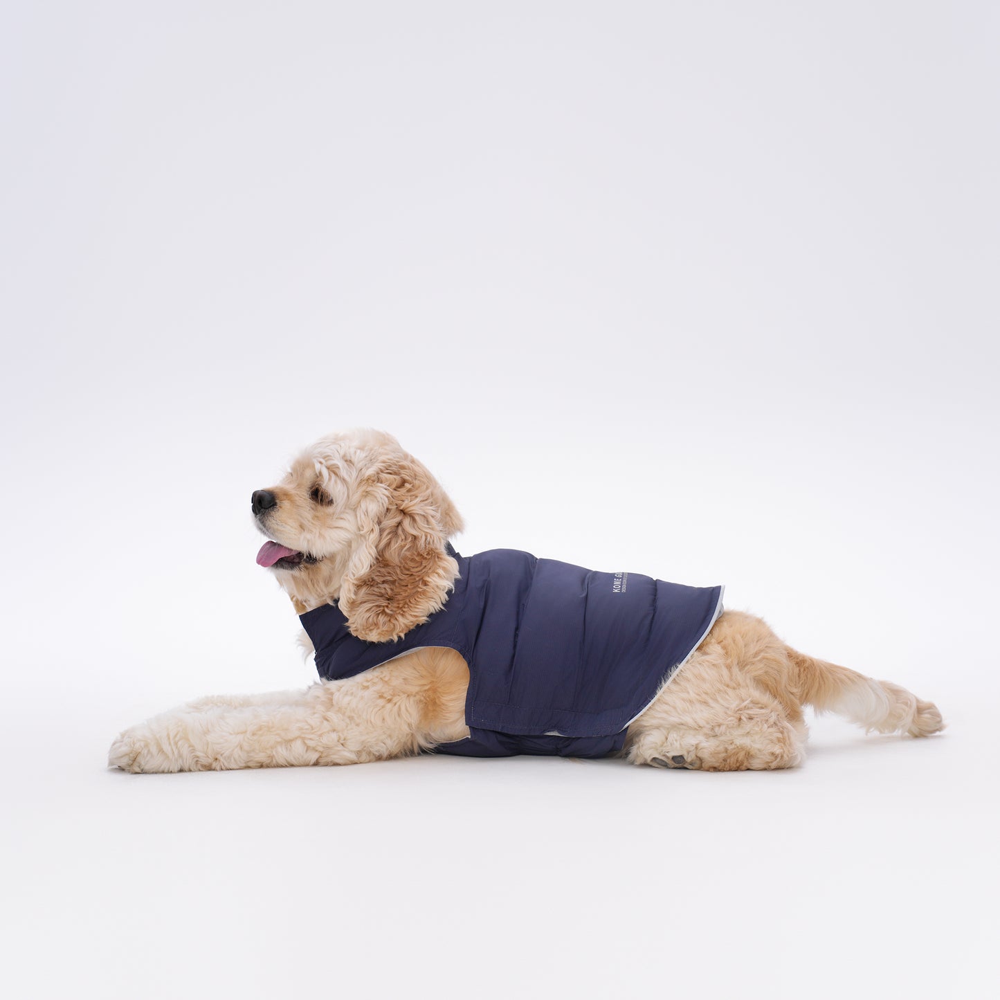 犬用アウトドアリバーシブルカジュアルウェア Dog Reversible Outdoor Casual Wear KGPARC01F0493