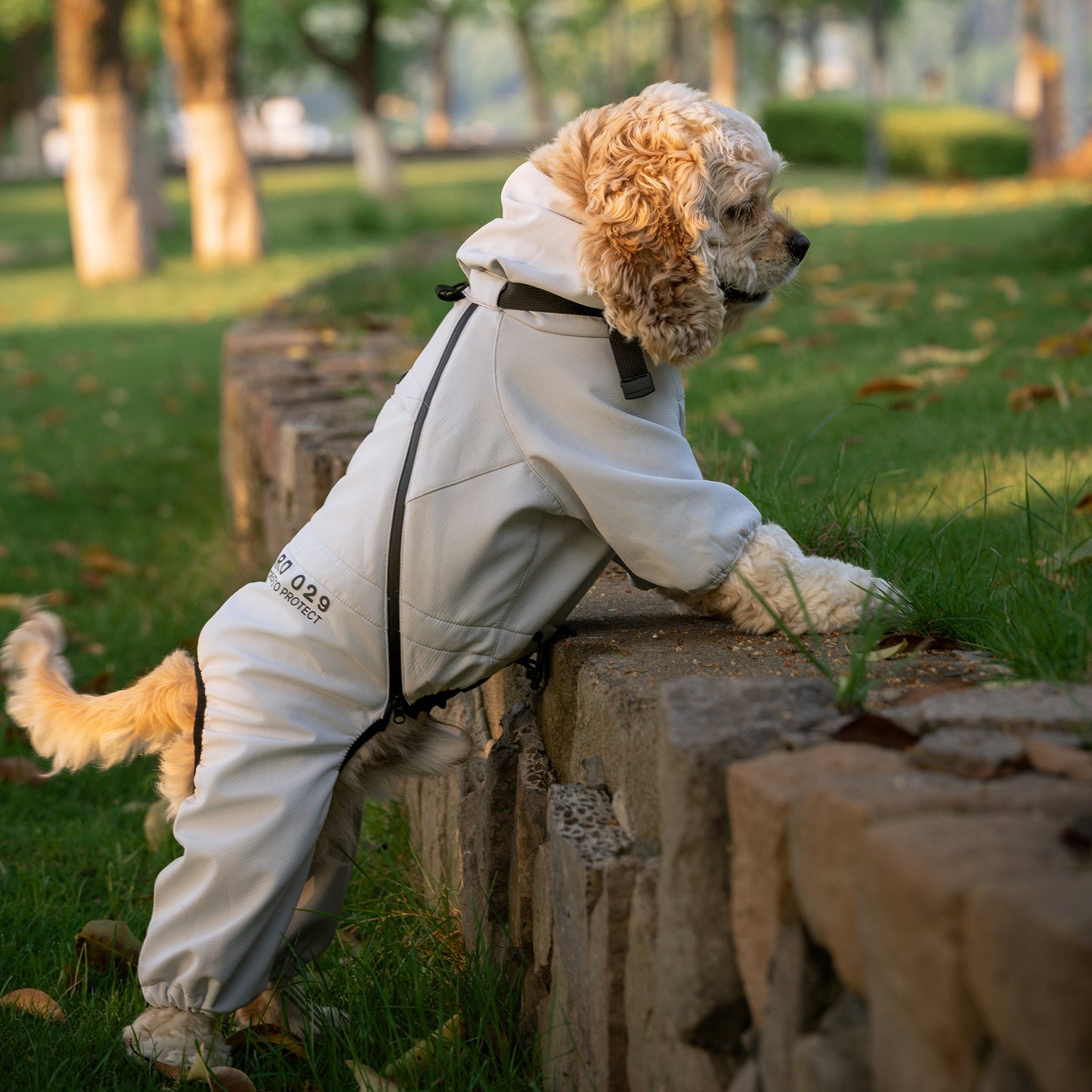 犬用アウトドアカジュアルウェア Dog Outdoor Casual Wear KGPASC01F0193