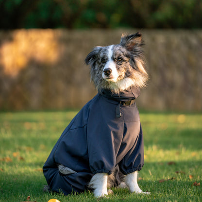 犬用アウトドアカジュアルウェア Dog Outdoor Casual Wear KGPASC01F0239