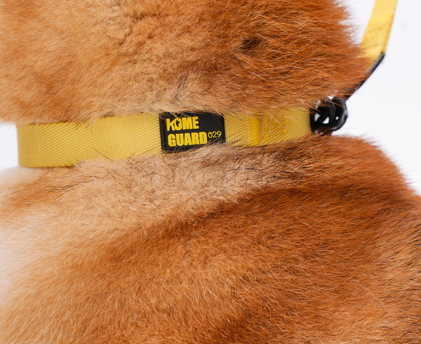 ペット用リード Pet Leash KGPCCR01F0155