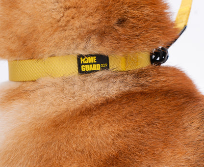 ペット用リード Pet Leash KGPCCR01F0155