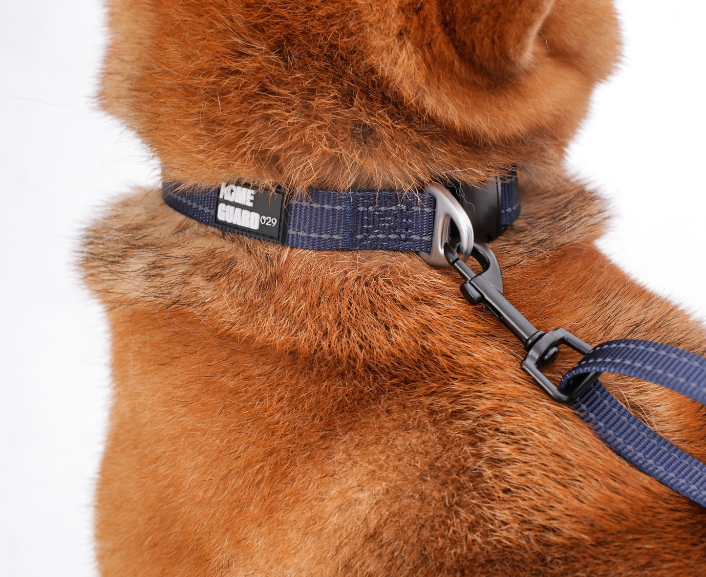 ペット用リード Pet Leash KGPCCR01F0237