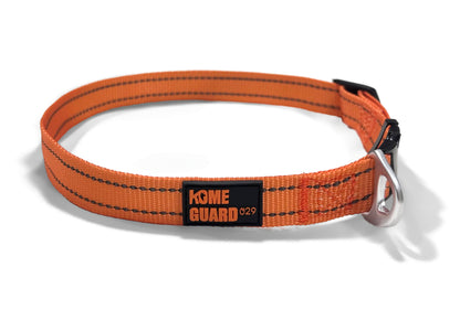 ペット用リード Pet Leash KGPCCR01F0264