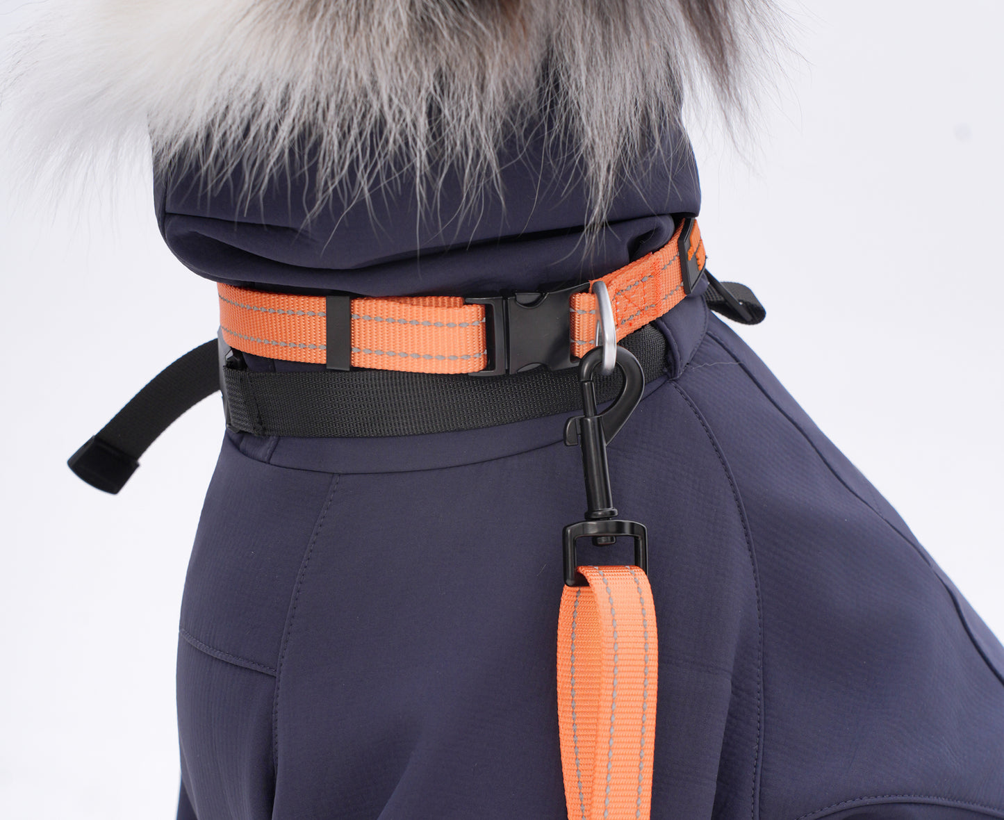 ペット用リード Pet Leash KGPCCR01F0264
