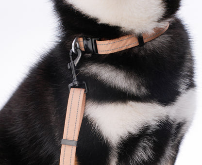 ペット用リード Pet Leash KGPCCR01F0284