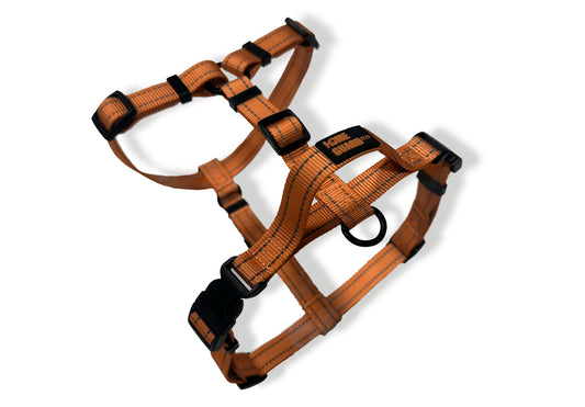 ペット用ハーネス Pet Harness KGPCHS01F0164