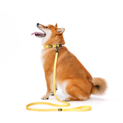 ペット用リード Pet Leash KGPCLS01F0155