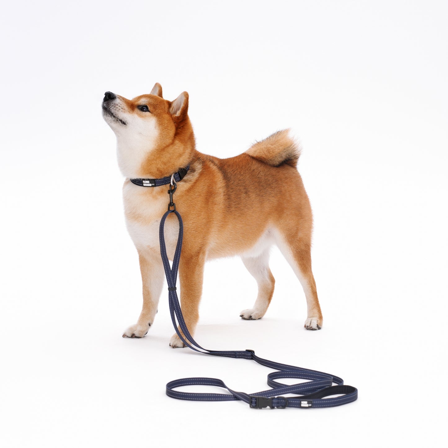 ペット用リード Pet Leash GPCLS01F0237