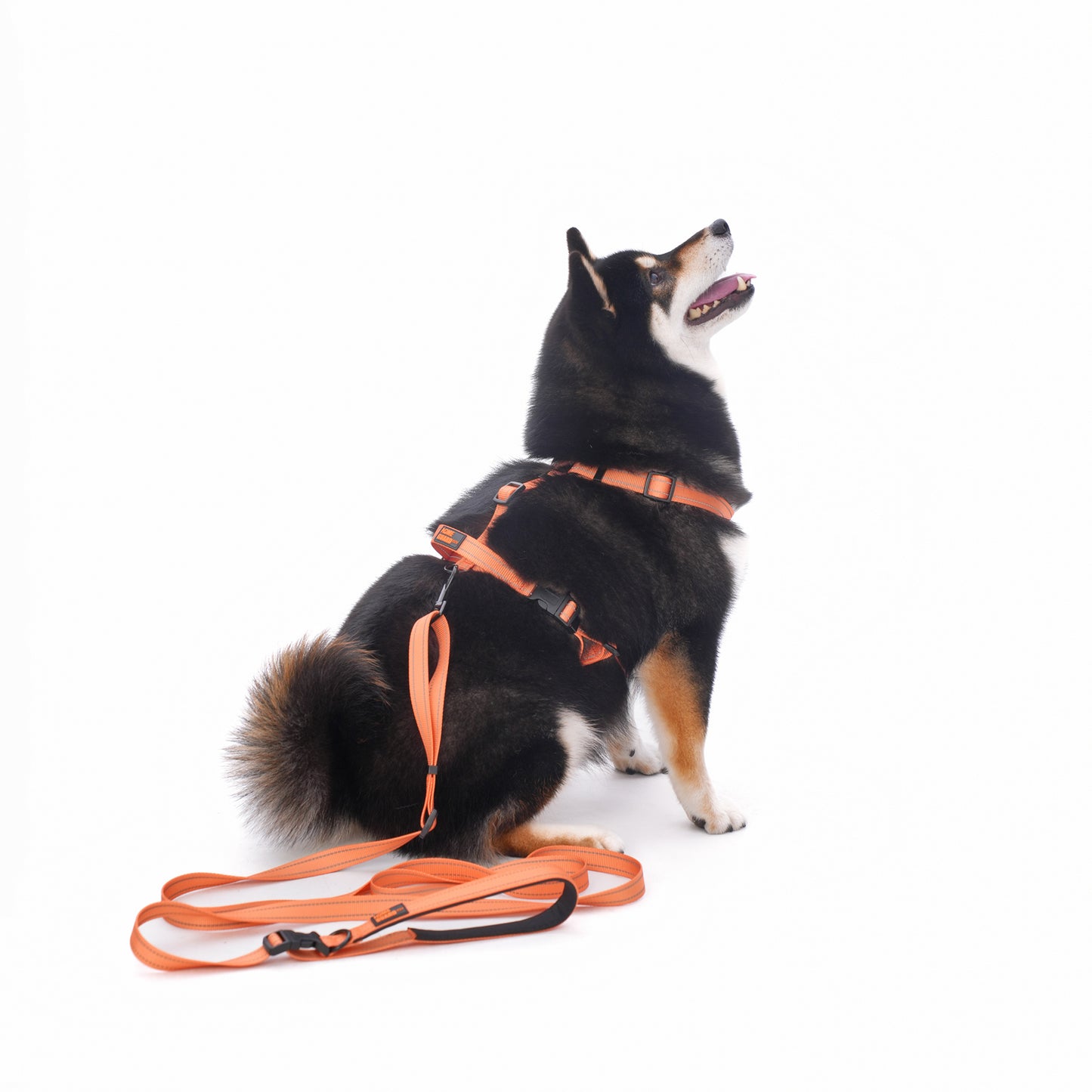 ペット用ハーネス Pet Harnessh KGPCHS01F0164